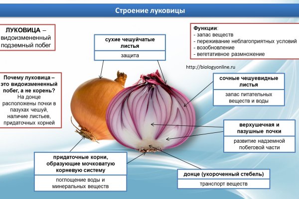 Сайт кракен онион