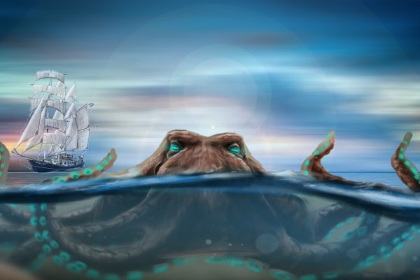 Kraken shop